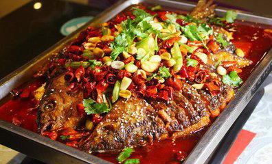 烤鱼店的鱼爆料视频播放,揭秘鱼儿们的“生存法则”